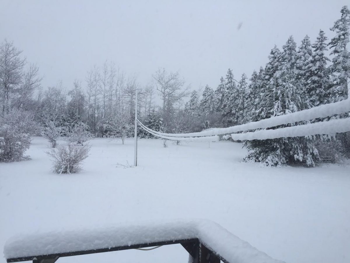 Stormiest Winter Periods on Prince Edward Island